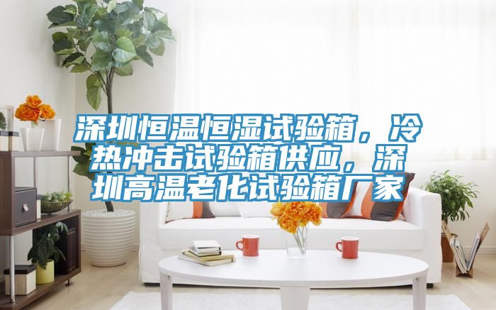 深圳恒溫恒濕試驗箱，冷熱衝擊試驗箱供應，深圳高溫老化試驗箱廠家
