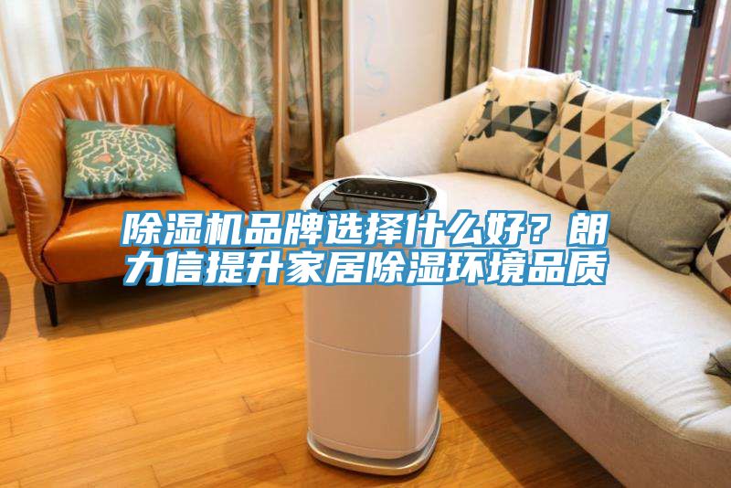 草莓视频污污污污品牌選擇什麽好？朗力信提升家居除濕環境品質
