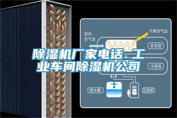 草莓视频污污污污廠家電話 工業車間草莓视频污污污污公司