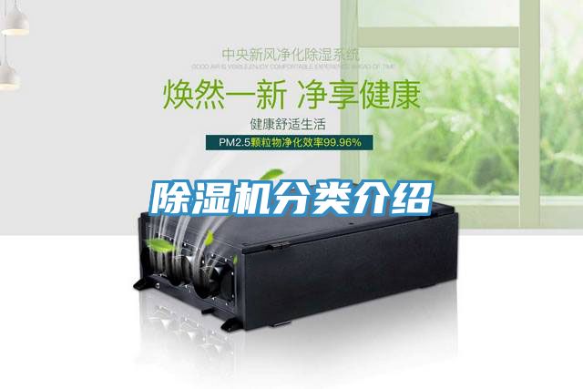 草莓视频污污污污分類介紹