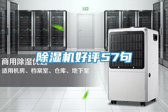 草莓视频污污污污好評57句