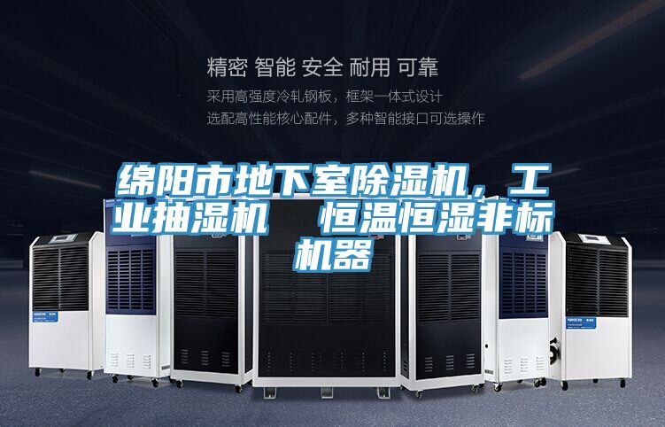 綿陽市地下室草莓视频污污污污，工業抽濕機  恒溫恒濕非標機器