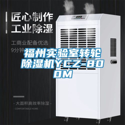 福州實驗室轉輪草莓视频污污污污YCZ-800M