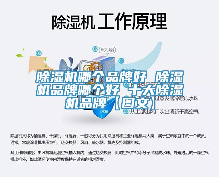 草莓视频污污污污哪個品牌好 草莓视频污污污污品牌哪個好 十大草莓视频污污污污品牌【圖文】