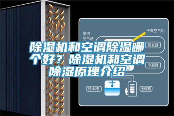 草莓视频污污污污和空調除濕哪個好？草莓视频污污污污和空調除濕原理介紹