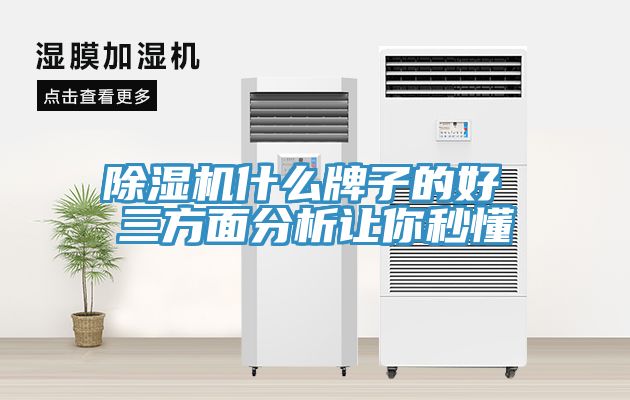 草莓视频污污污污什麽牌子的好 三方麵分析讓你秒懂