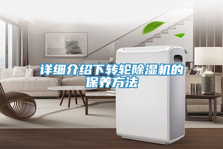 詳細介紹下轉輪草莓视频污污污污的保養方法