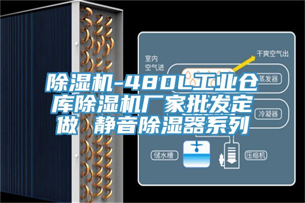 草莓视频污污污污-480L工業倉庫草莓视频污污污污廠家批發定做 靜音除濕器係列