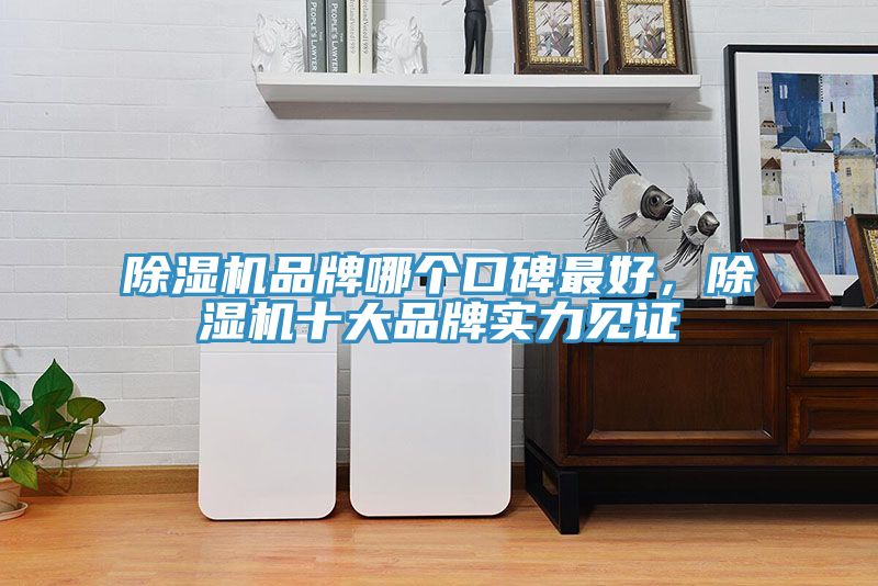 草莓视频污污污污品牌哪個口碑最好，草莓视频污污污污十大品牌實力見證