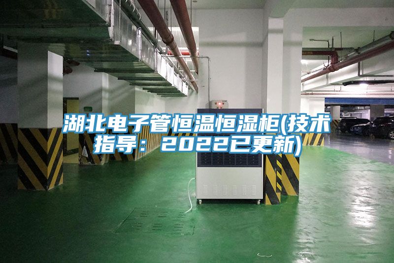 湖北電子管恒溫恒濕櫃(技術指導：2022已更新)