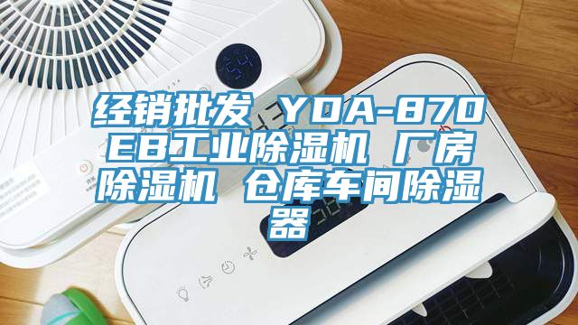 經銷批發 YDA-870EB工業草莓视频污污污污 廠房草莓视频污污污污 倉庫車間除濕器