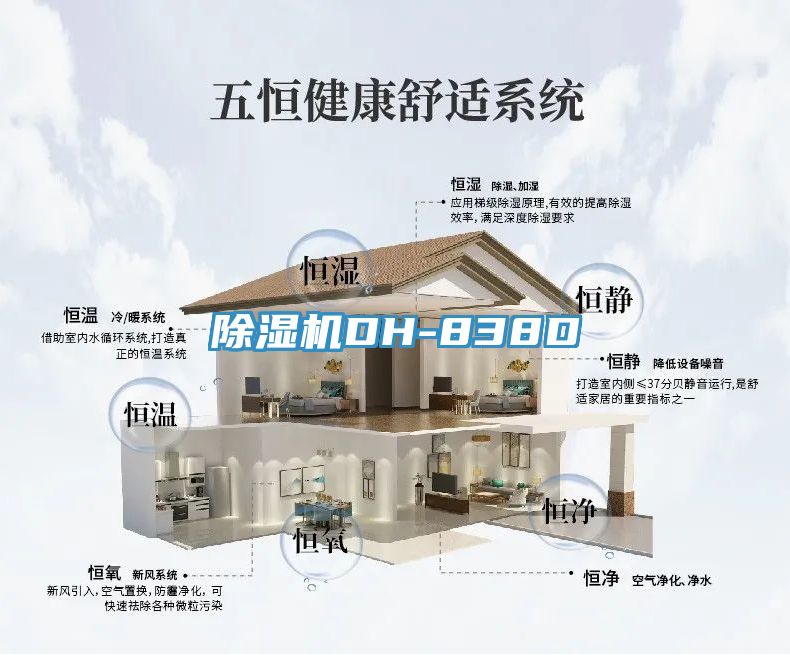 草莓视频污污污污DH-838D