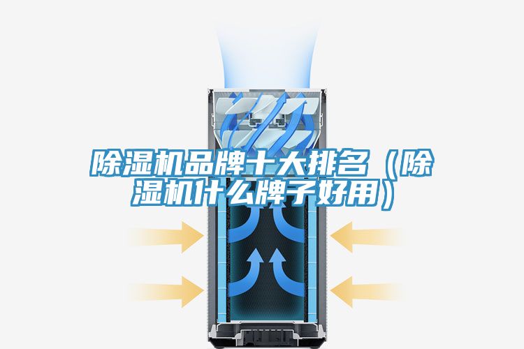 草莓视频污污污污品牌十大排名（草莓视频污污污污什麽牌子好用）
