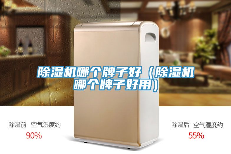 草莓视频污污污污哪個牌子好（草莓视频污污污污哪個牌子好用）
