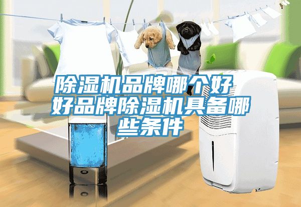 草莓视频污污污污品牌哪個好 好品牌草莓视频污污污污具備哪些條件