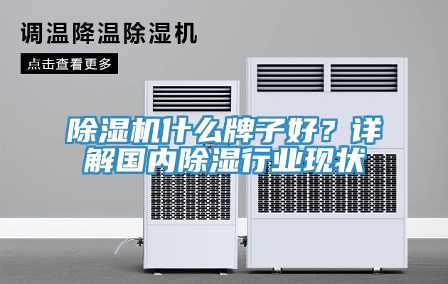 草莓视频污污污污什麽牌子好？詳解國內除濕行業現狀