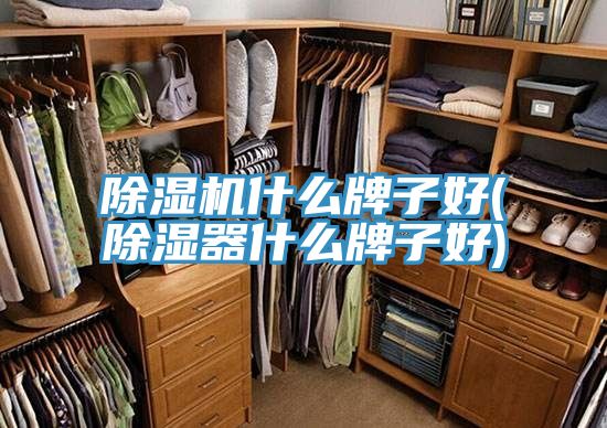 草莓视频污污污污什麽牌子好(除濕器什麽牌子好)