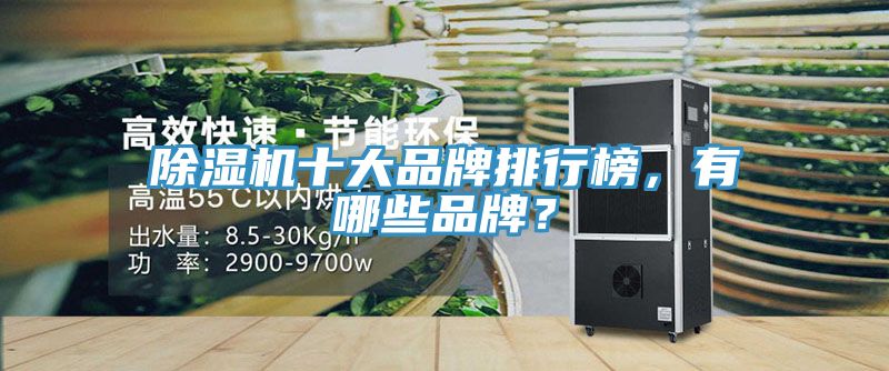草莓视频污污污污十大品牌排行榜，有哪些品牌？