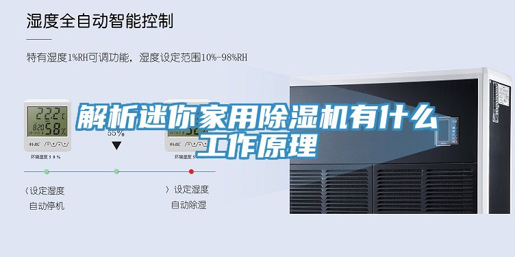 解析迷你家用草莓视频污污污污有什麽工作原理