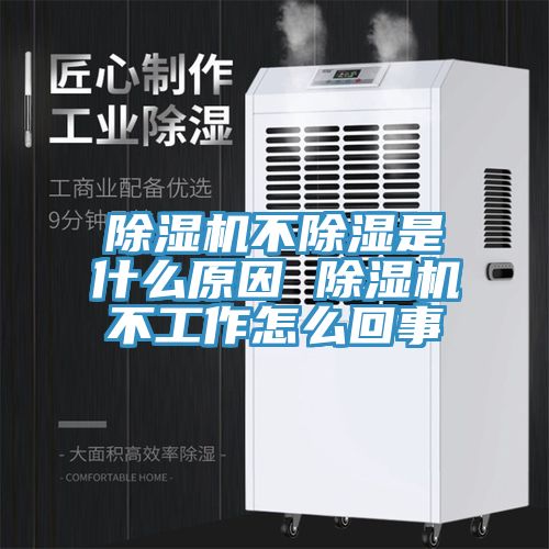草莓视频污污污污不除濕是什麽原因 草莓视频污污污污不工作怎麽回事