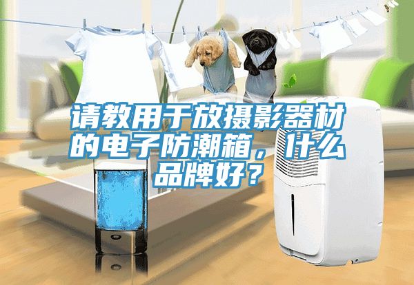 請教用於放攝影器材的電子防潮箱，什麽品牌好？