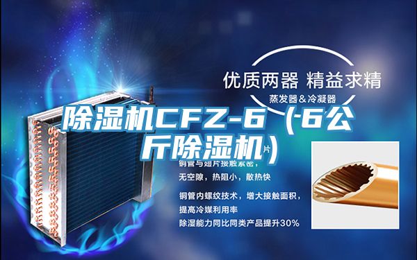 草莓视频污污污污CFZ-6（6公斤草莓视频污污污污）