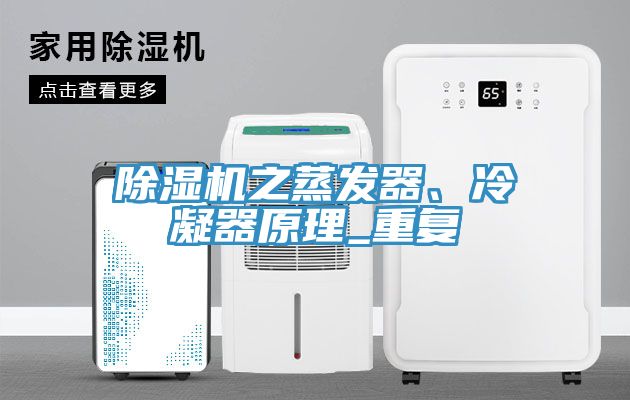 草莓视频污污污污之蒸發器、冷凝器原理_重複