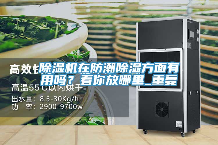 草莓视频污污污污在防潮除濕方麵有用嗎？看你放哪裏_重複
