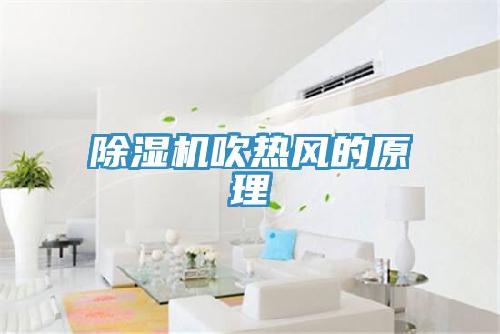草莓视频污污污污吹熱風的原理