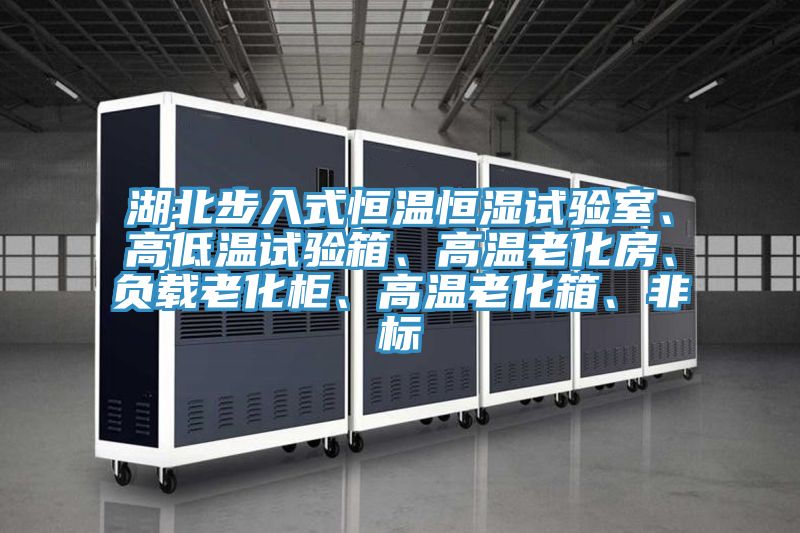 湖北步入式恒溫恒濕試驗室、高低溫試驗箱、高溫老化房、負載老化櫃、高溫老化箱、非標
