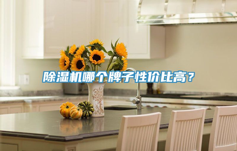 草莓视频污污污污哪個牌子性價比高？