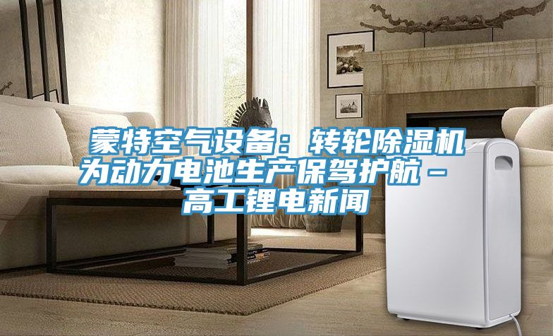 蒙特空氣設備：轉輪草莓视频污污污污為動力電池生產保駕護航– 高工鋰電新聞
