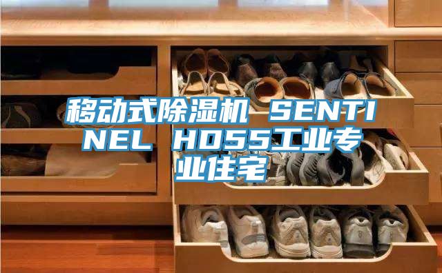 移動式草莓视频污污污污 SENTINEL HD55工業專業住宅