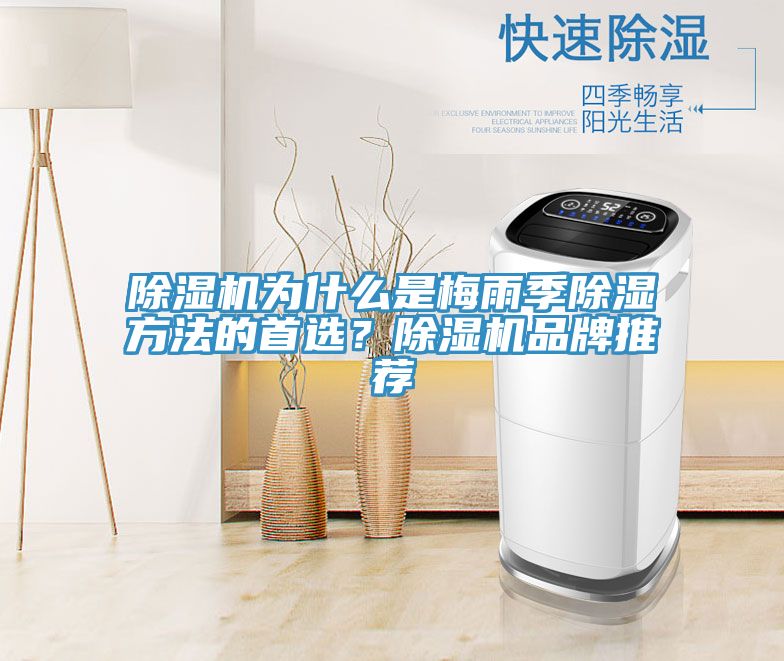 草莓视频污污污污為什麽是梅雨季除濕方法的首選？草莓视频污污污污品牌推薦