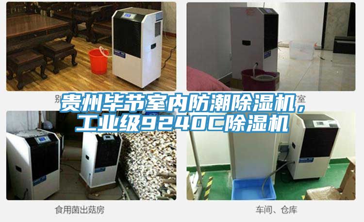 貴州畢節室內防潮草莓视频污污污污，工業級9240C草莓视频污污污污
