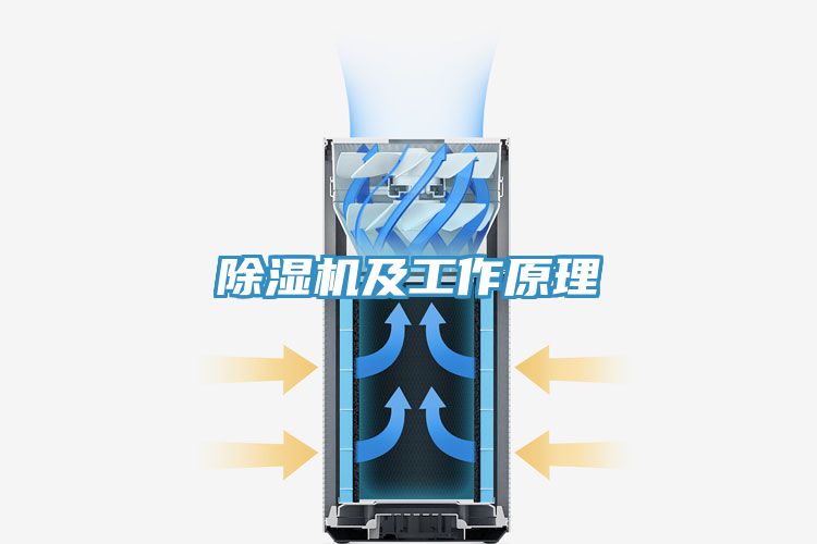 草莓视频污污污污及工作原理