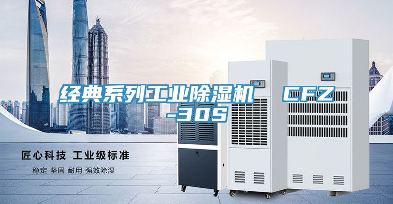 經典係列工業草莓视频污污污污  CFZ-30S