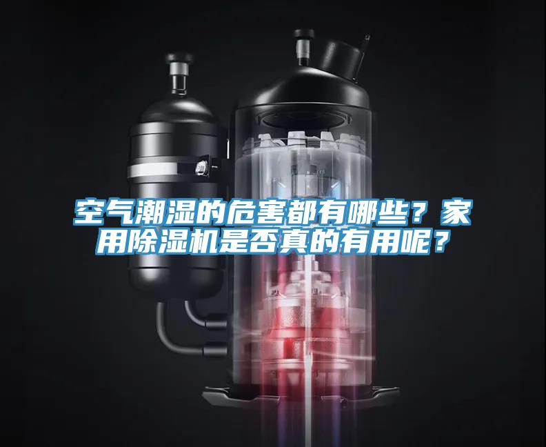 空氣潮濕的危害都有哪些？家用草莓视频污污污污是否真的有用呢？