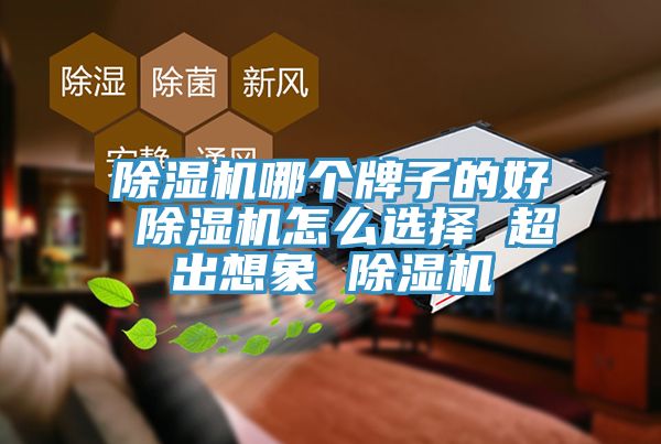 草莓视频污污污污哪個牌子的好 草莓视频污污污污怎麽選擇 超出想象 草莓视频污污污污