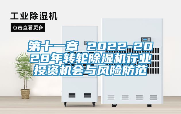 第十一章 2022-2028年轉輪草莓视频污污污污行業投資機會與風險防範