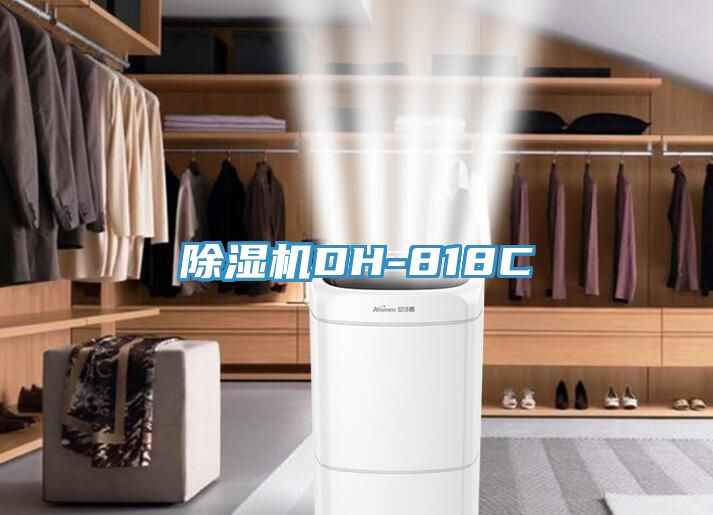 草莓视频污污污污DH-818C