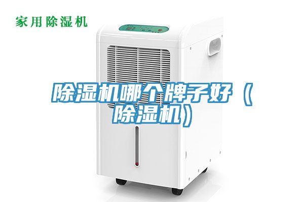 草莓视频污污污污哪個牌子好（草莓视频污污污污）