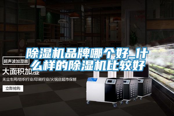 草莓视频污污污污品牌哪個好_什麽樣的草莓视频污污污污比較好