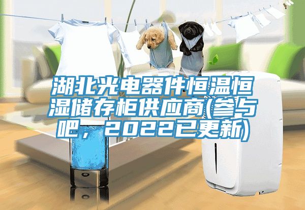 湖北光電器件恒溫恒濕儲存櫃供應商(參與吧，2022已更新)