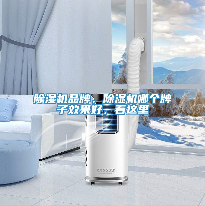 草莓视频污污污污品牌，草莓视频污污污污哪個牌子效果好，看這裏