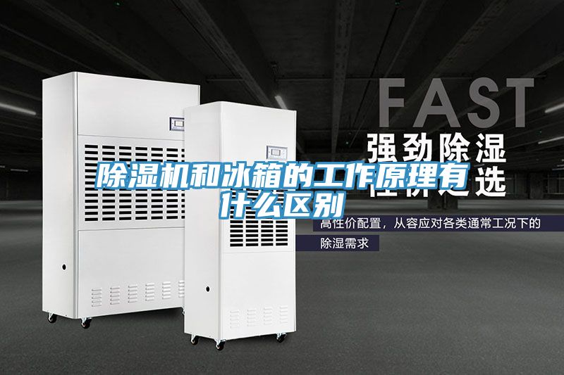 草莓视频污污污污和冰箱的工作原理有什麽區別