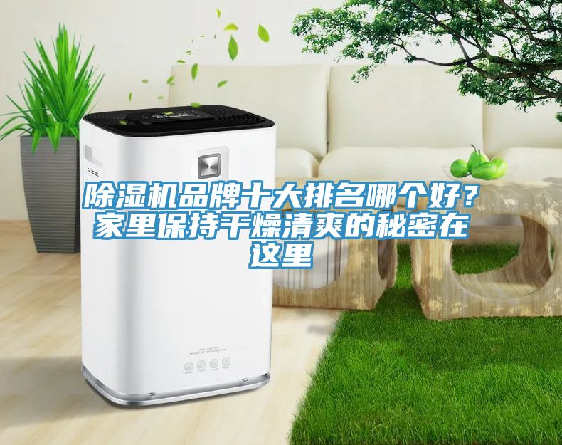 草莓视频污污污污品牌十大排名哪個好？家裏保持幹燥清爽的秘密在這裏