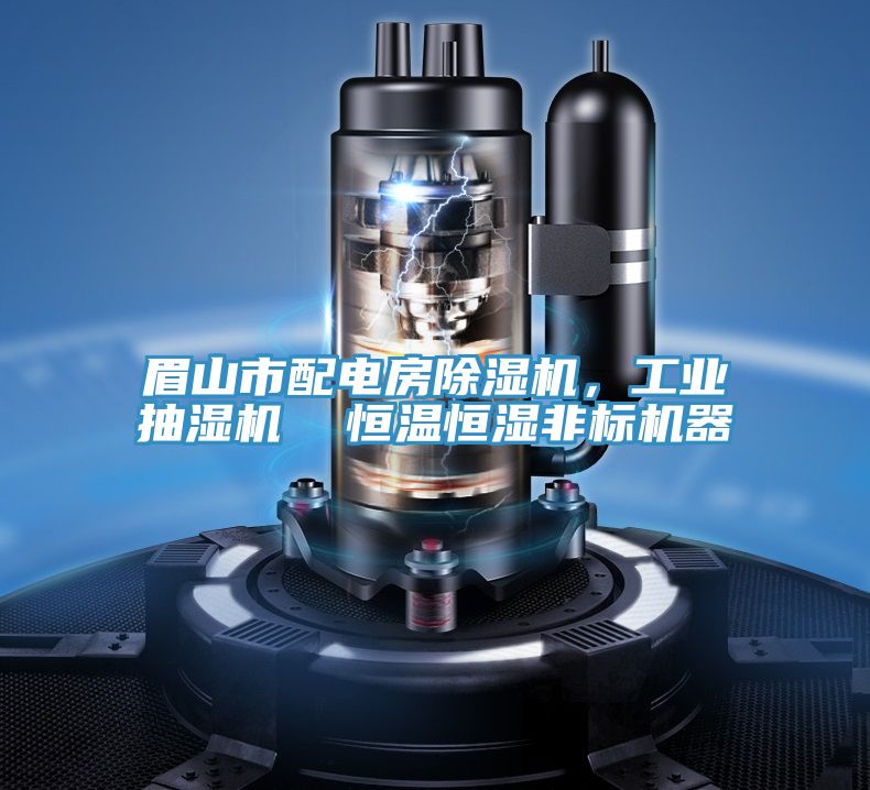 眉山市配電房草莓视频污污污污，工業抽濕機  恒溫恒濕非標機器
