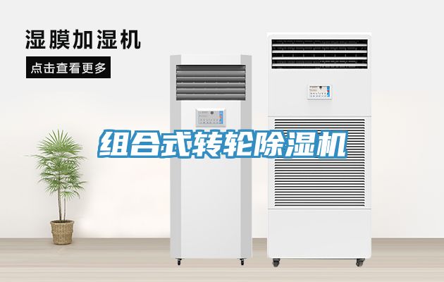 組合式轉輪草莓视频污污污污