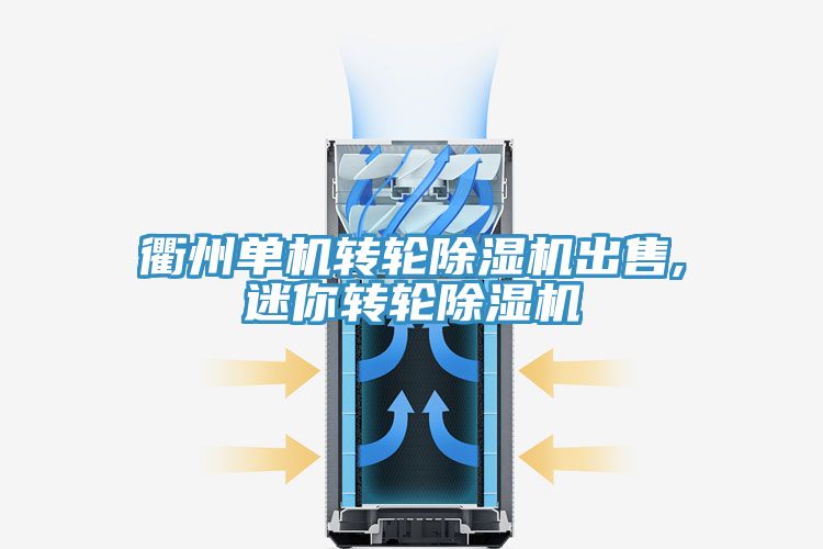衢州單機轉輪草莓视频污污污污出售,迷你轉輪草莓视频污污污污